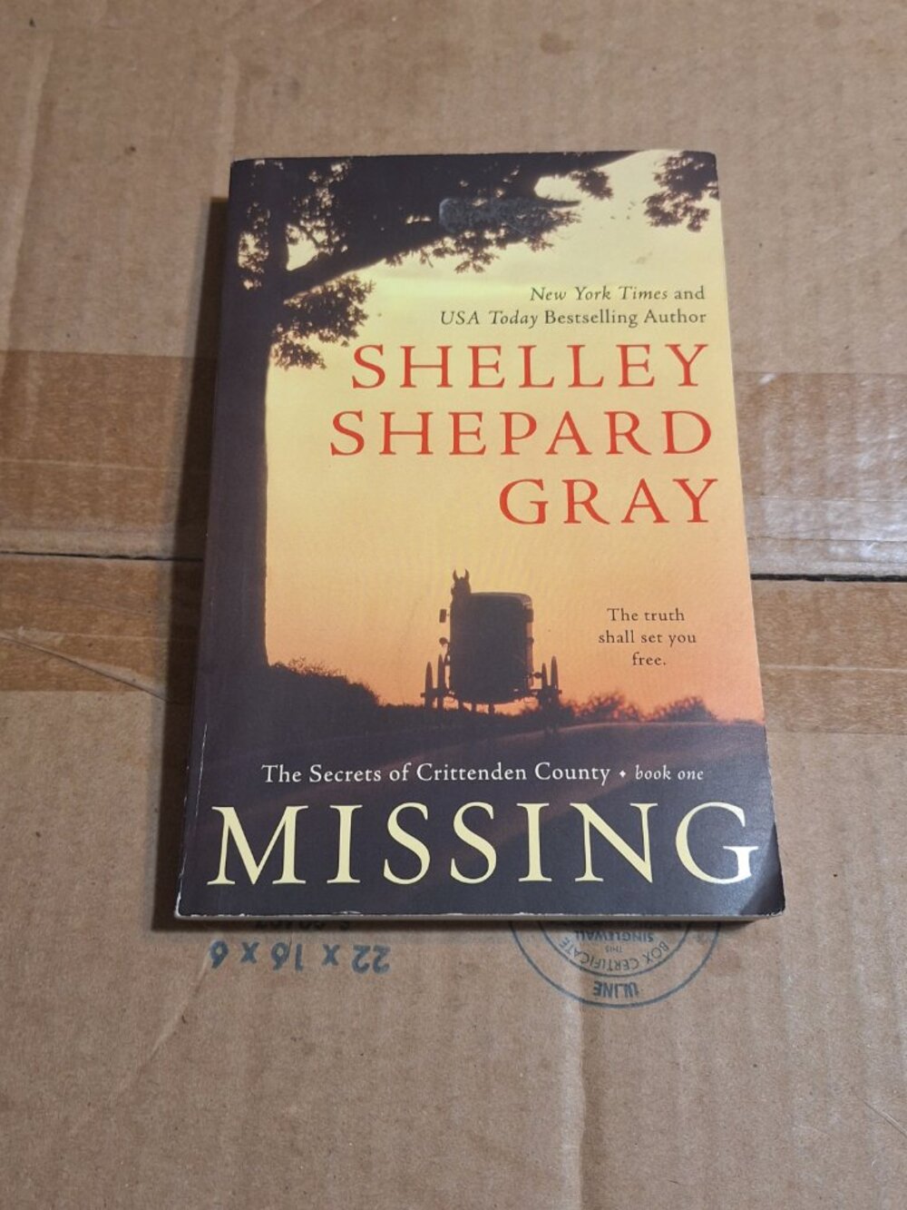 missing by shelley shepard gray